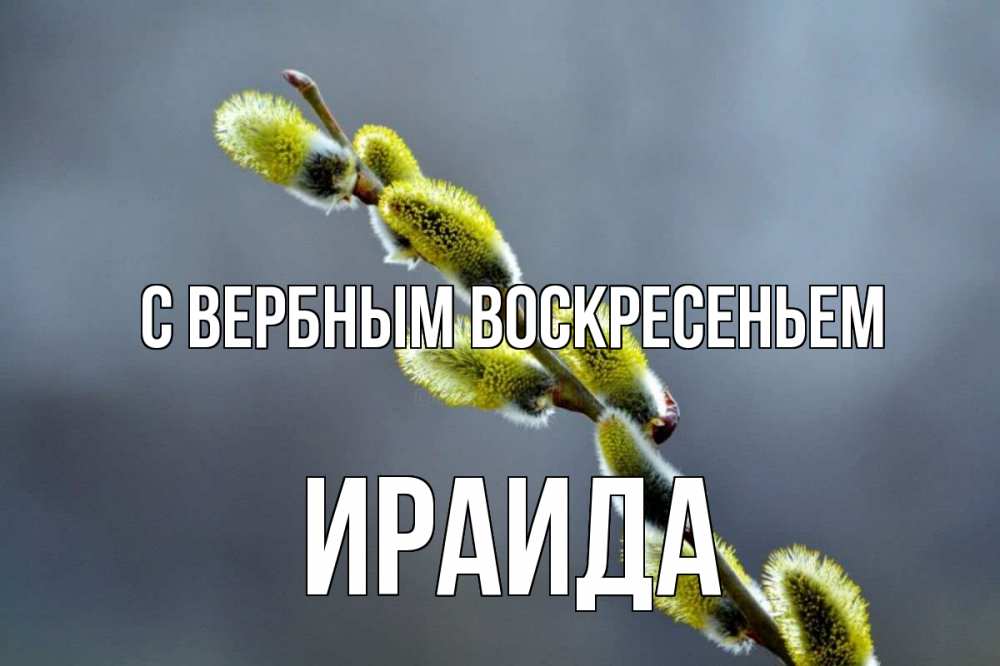 Открытка на каждый день с именем, Ираида С вербным воскресеньем верба Прикольная открытка с пожеланием онлайн скачать бесплатно 