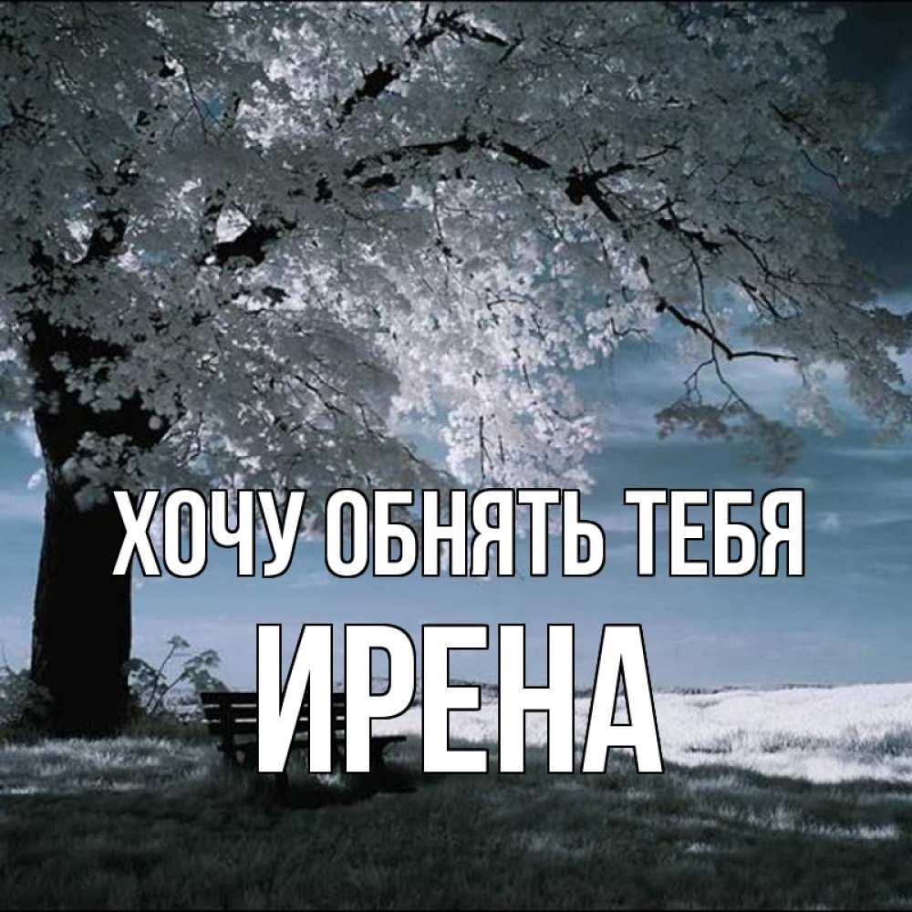 Открытка на каждый день с именем, Ирена Хочу обнять тебя дерево Прикольная открытка с пожеланием онлайн скачать бесплатно 