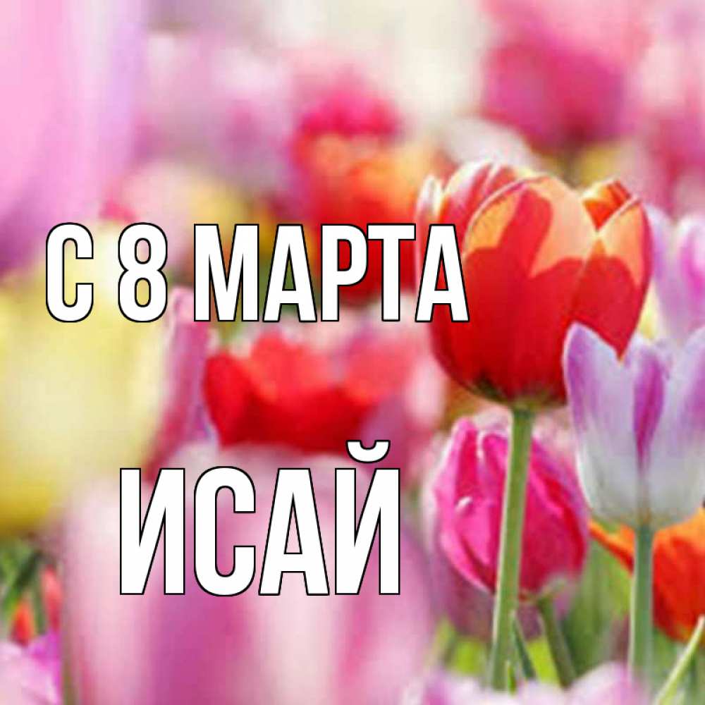 Открытка на каждый день с именем, Исай С 8 МАРТА на международный женский день 2 Прикольная открытка с пожеланием онлайн скачать бесплатно 