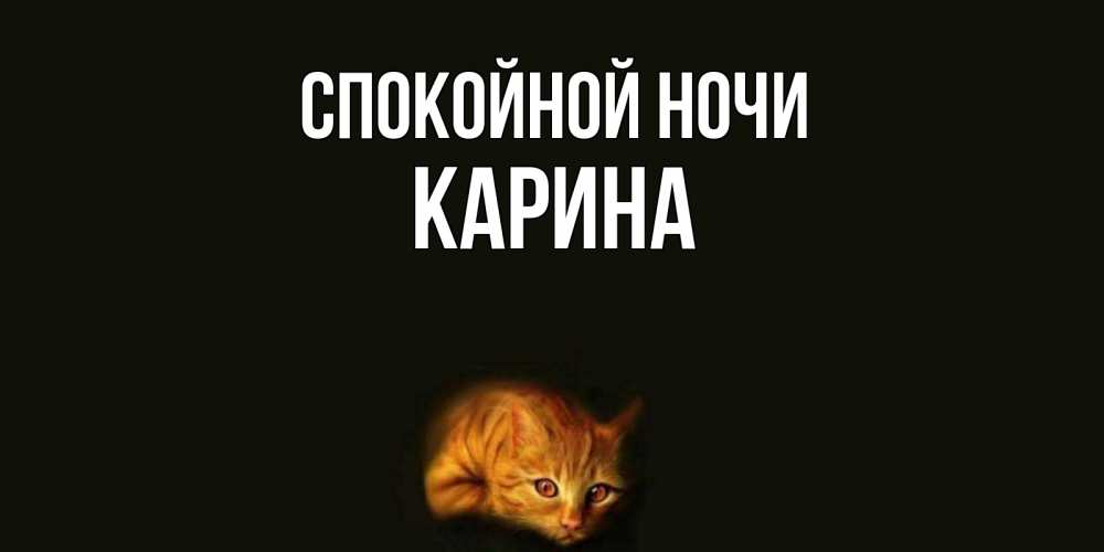 Открытка на каждый день с именем, Карина Спокойной ночи кот Прикольная открытка с пожеланием онлайн скачать бесплатно 