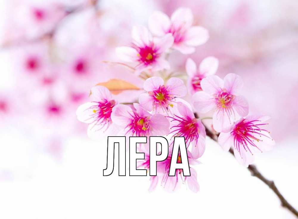 Открытка на каждый день с именем, Лера Главная С 1 мая 2 Прикольная открытка с пожеланием онлайн скачать бесплатно 