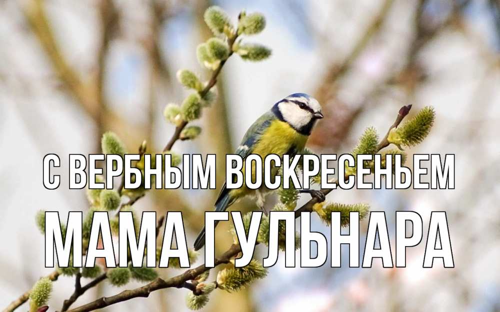 Открытка на каждый день с именем, Мама-Гульнара С вербным воскресеньем верба Прикольная открытка с пожеланием онлайн скачать бесплатно 
