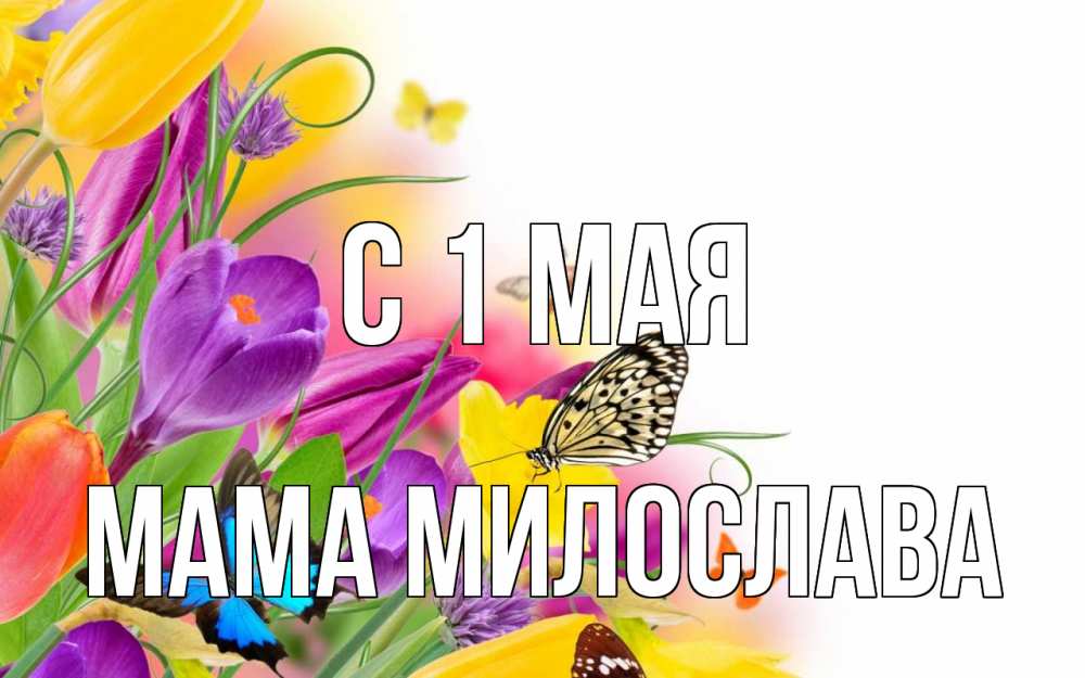 Открытка на каждый день с именем, Мама-Милослава С 1 мая С 1 мая Прикольная открытка с пожеланием онлайн скачать бесплатно 