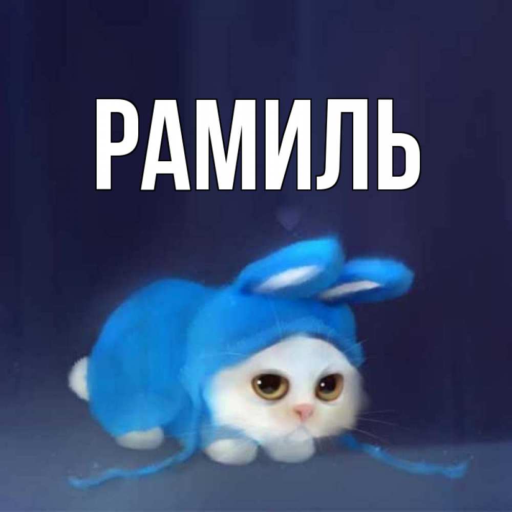 Открытка на каждый день с именем, Рамиль Главная невинный котозай просит прощения Прикольная открытка с пожеланием онлайн скачать бесплатно 
