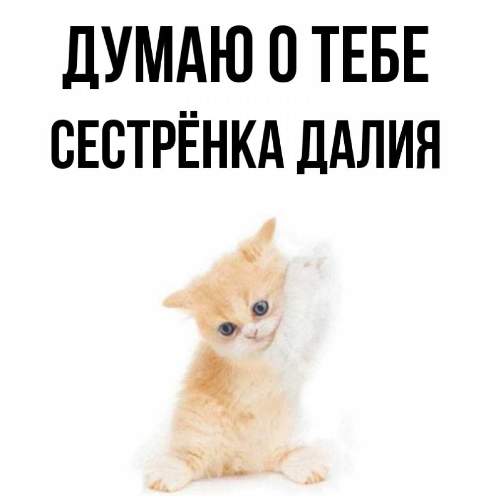 Открытка на каждый день с именем, Сестрёнка-Далия Думаю о тебе зверушки и милота Прикольная открытка с пожеланием онлайн скачать бесплатно 