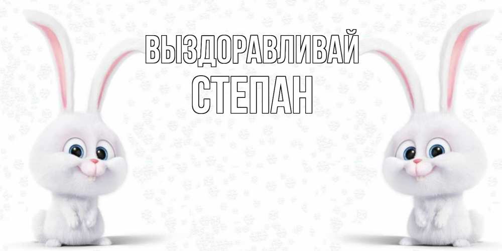 Открытка на каждый день с именем, Степан Выздоравливай не болей с зайцем Прикольная открытка с пожеланием онлайн скачать бесплатно 