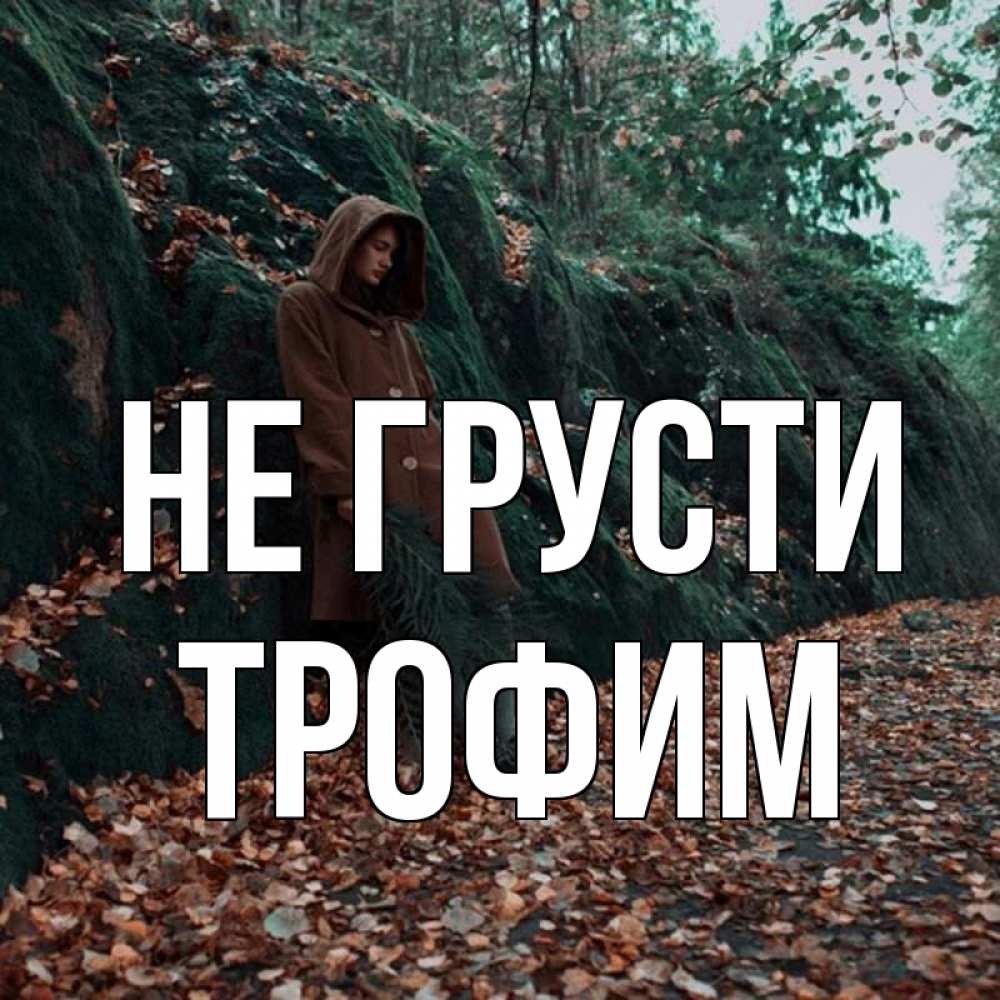 Открытка на каждый день с именем, Трофим Не грусти осенний лес Прикольная открытка с пожеланием онлайн скачать бесплатно 