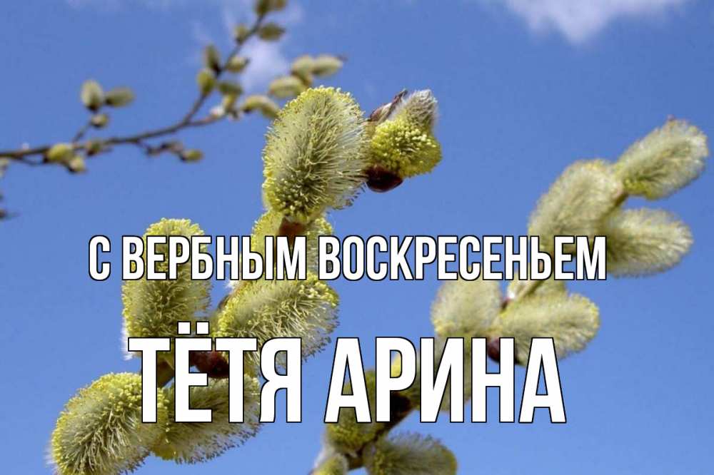 Открытка на каждый день с именем, Тётя-Арина С вербным воскресеньем верба Прикольная открытка с пожеланием онлайн скачать бесплатно 