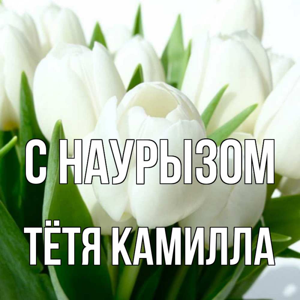 Открытка на каждый день с именем, Тётя-Камилла С наурызом цветы Прикольная открытка с пожеланием онлайн скачать бесплатно 