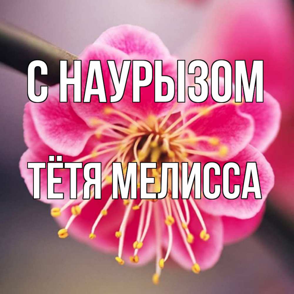 Открытка на каждый день с именем, Тётя-Мелисса С наурызом цветы Прикольная открытка с пожеланием онлайн скачать бесплатно 