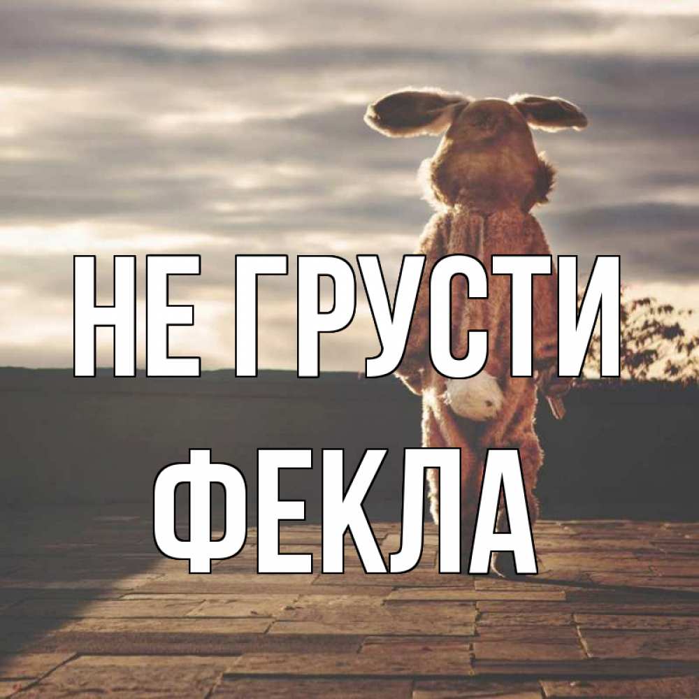 Открытка на каждый день с именем, Фекла Не грусти со спины Прикольная открытка с пожеланием онлайн скачать бесплатно 