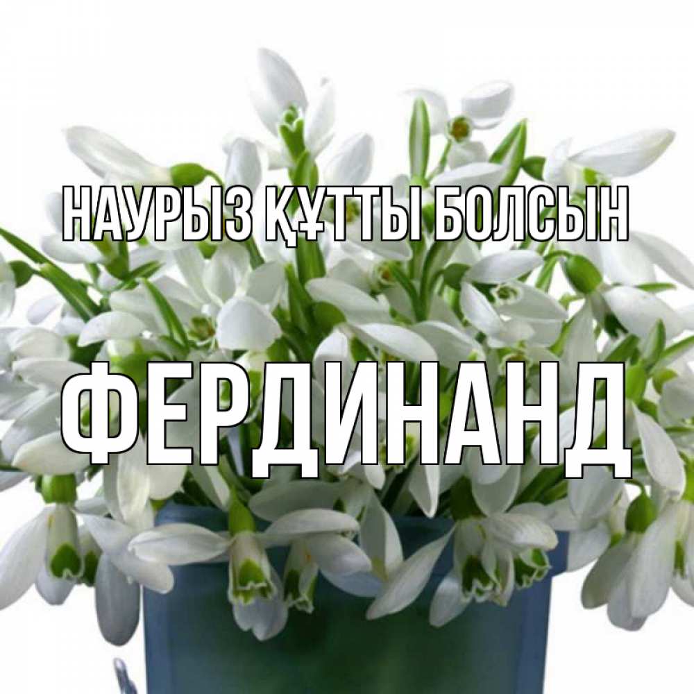 Открытка на каждый день с именем, Фердинанд Наурыз құтты болсын цветы к наурызу Прикольная открытка с пожеланием онлайн скачать бесплатно 