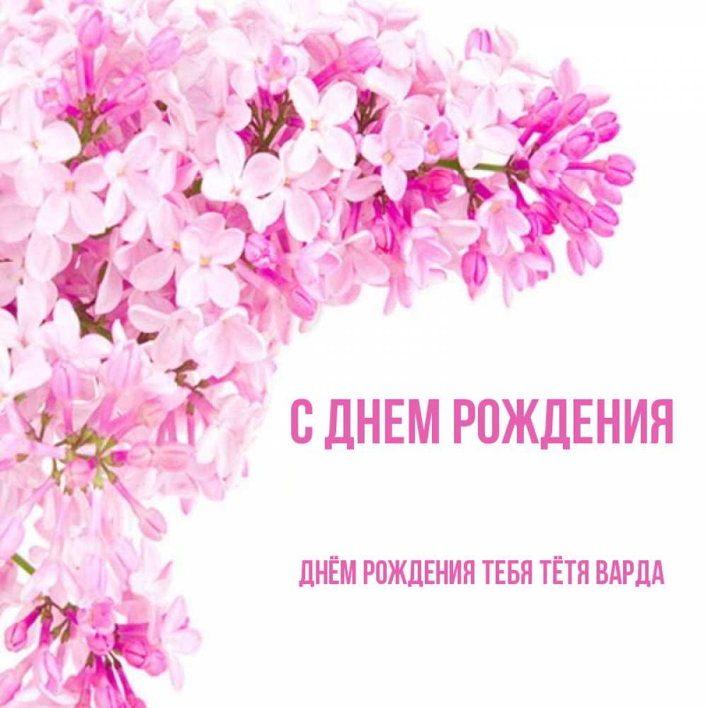 Открытка на каждый день с именем, днём-рождения-тебя-тётя-варда С днем рождения Сирень на белом фоне Прикольная открытка с пожеланием онлайн скачать бесплатно 