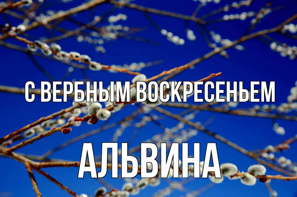 Открытка на каждый день с именем, Альвина С вербным воскресеньем верба Прикольная открытка с пожеланием онлайн скачать бесплатно 