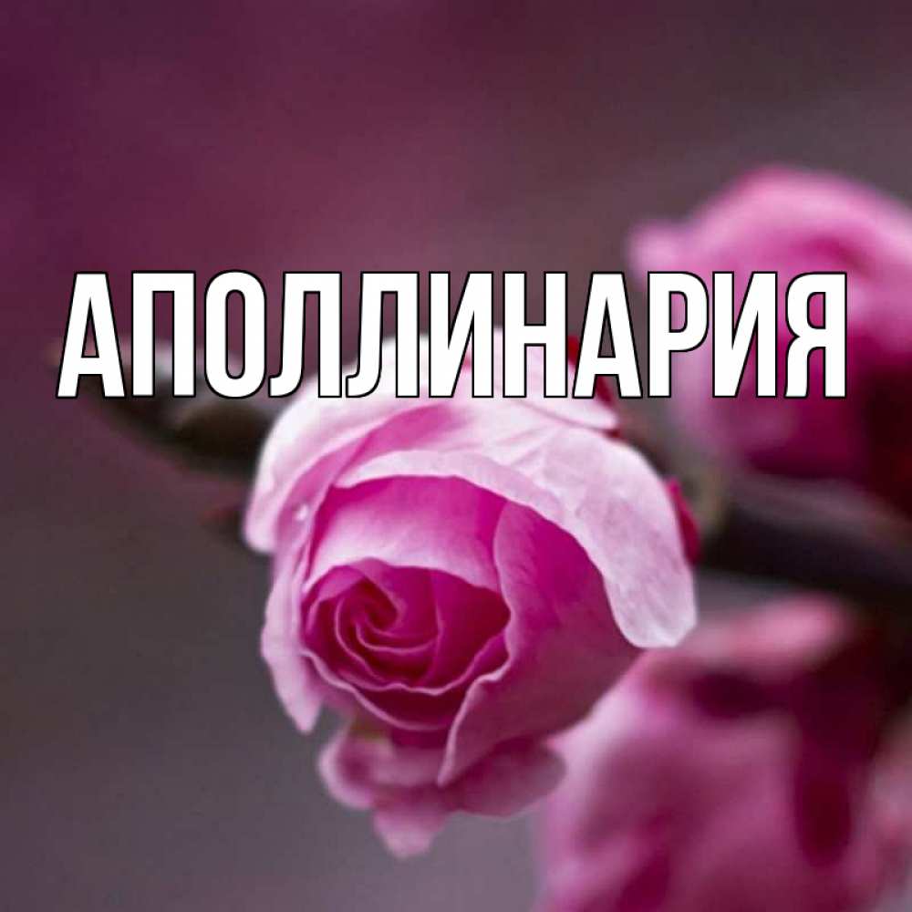 Открытка на каждый день с именем, Аполлинария Главная весна Прикольная открытка с пожеланием онлайн скачать бесплатно 
