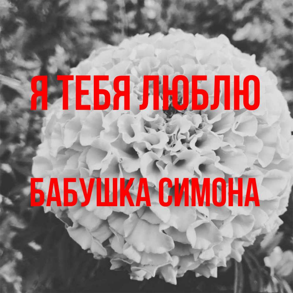 Открытка на каждый день с именем, Бабушка-Симона Я тебя люблю подпись Прикольная открытка с пожеланием онлайн скачать бесплатно 