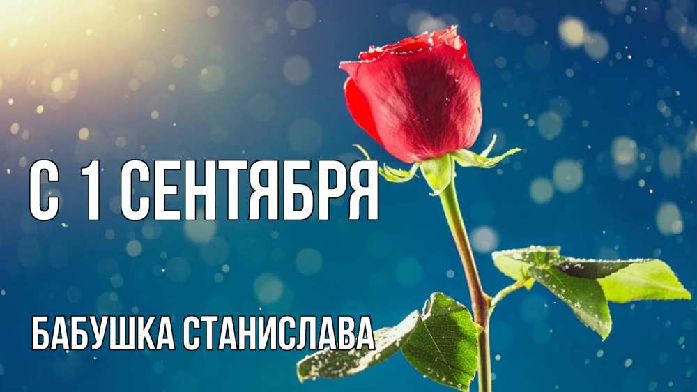 Открытка на каждый день с именем, Бабушка-Станислава С 1 сентября с днем знаний Прикольная открытка с пожеланием онлайн скачать бесплатно 