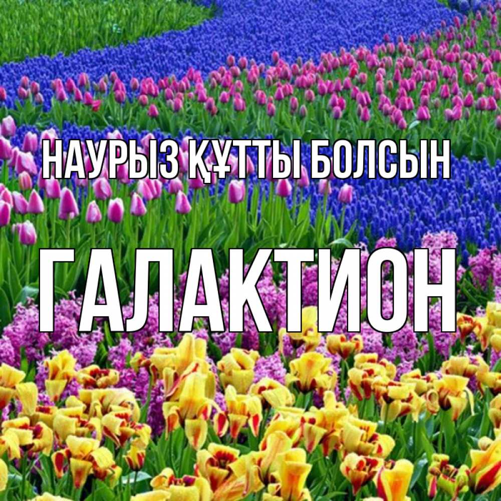 Открытка на каждый день с именем, Галактион Наурыз құтты болсын цветы Прикольная открытка с пожеланием онлайн скачать бесплатно 