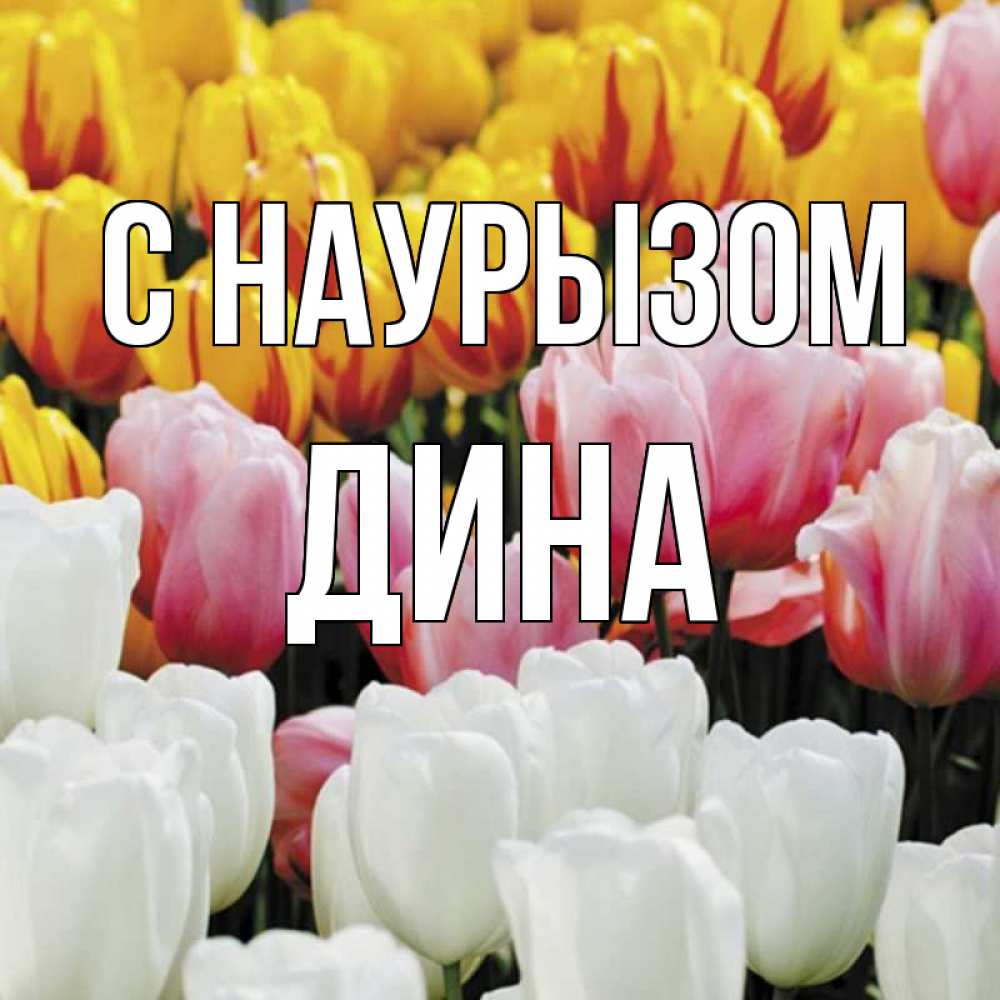Открытка на каждый день с именем, Дина С наурызом разноцветные цветы Прикольная открытка с пожеланием онлайн скачать бесплатно 