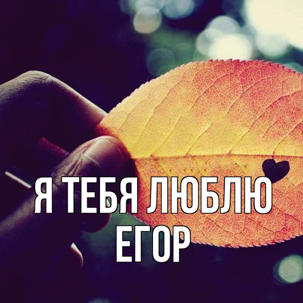 Открытка на каждый день с именем, Егор Я тебя люблю держу лист Прикольная открытка с пожеланием онлайн скачать бесплатно 