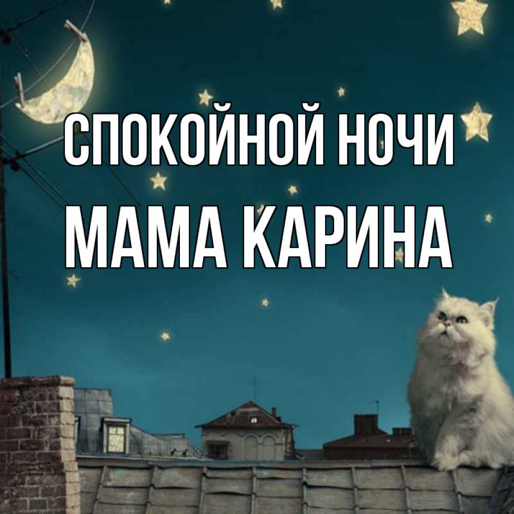 Открытка на каждый день с именем, Мама-Карина Спокойной ночи белый кот сидит на крыше Прикольная открытка с пожеланием онлайн скачать бесплатно 