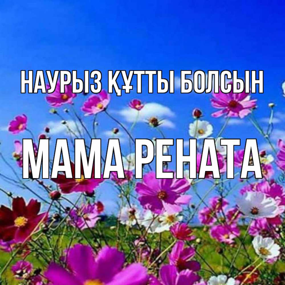 Открытка на каждый день с именем, Мама-Рената Наурыз құтты болсын цветы Прикольная открытка с пожеланием онлайн скачать бесплатно 