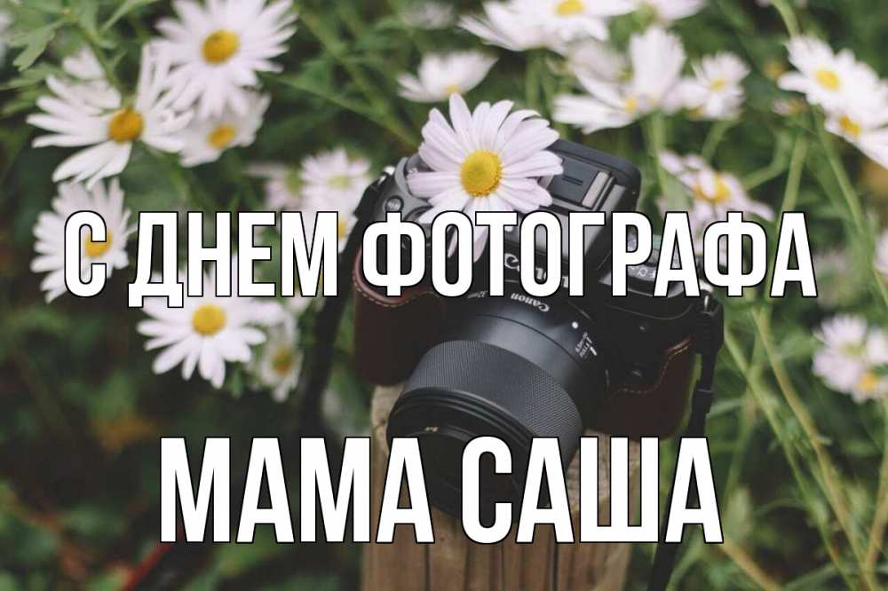 Открытка на каждый день с именем, Мама-Саша С днем фотографа с днем фотографа Прикольная открытка с пожеланием онлайн скачать бесплатно 