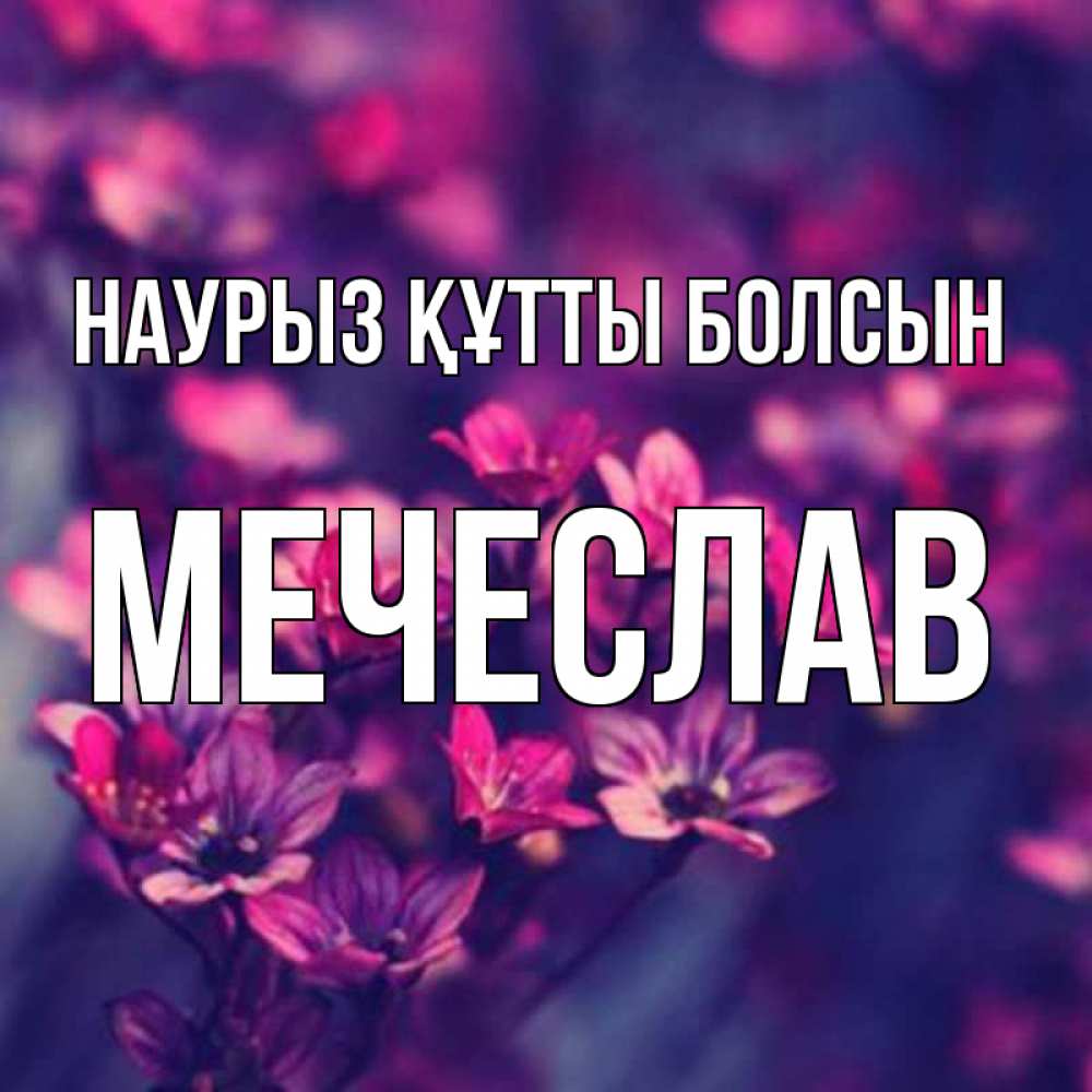 Открытка на каждый день с именем, Мечеслав Наурыз құтты болсын небольшие цветы 1 Прикольная открытка с пожеланием онлайн скачать бесплатно 