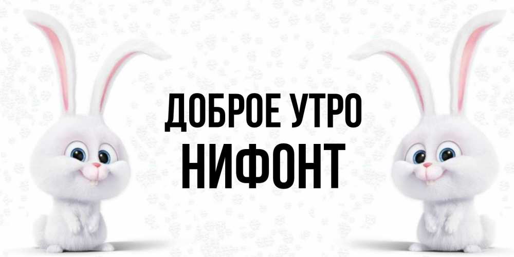 Открытка на каждый день с именем, Нифонт Доброе утро кролики с длинными ушками Прикольная открытка с пожеланием онлайн скачать бесплатно 