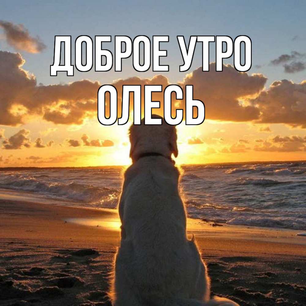 Открытка на каждый день с именем, Олесь Доброе утро восход солнца Прикольная открытка с пожеланием онлайн скачать бесплатно 
