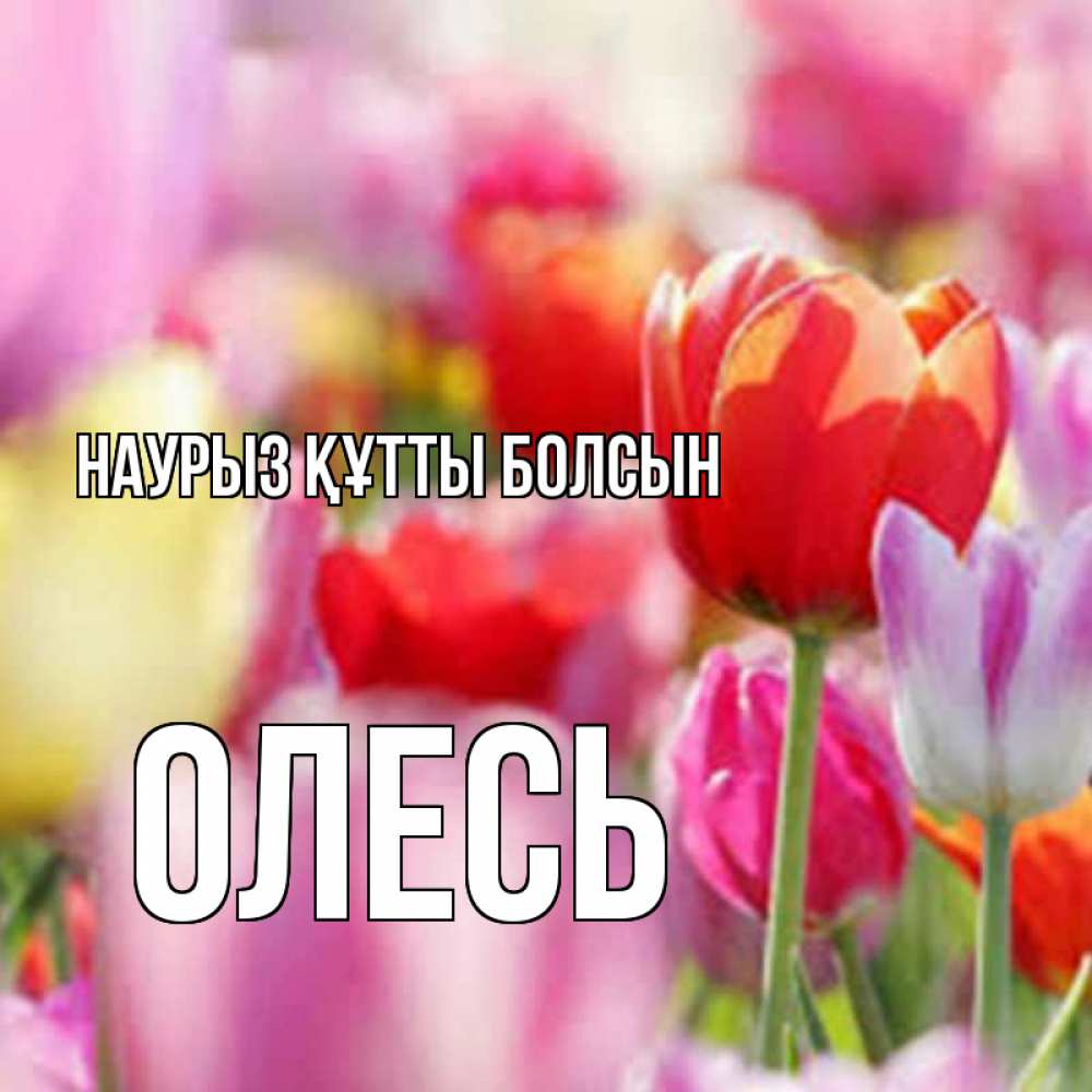 Открытка на каждый день с именем, Олесь Наурыз құтты болсын на наурыз  2 Прикольная открытка с пожеланием онлайн скачать бесплатно 