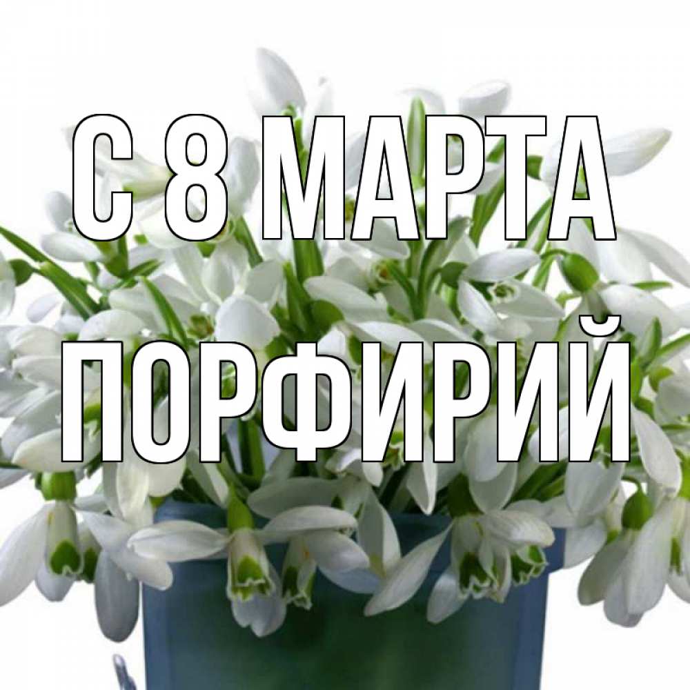 Открытка на каждый день с именем, Порфирий С 8 МАРТА цветы к международному женскому дню Прикольная открытка с пожеланием онлайн скачать бесплатно 