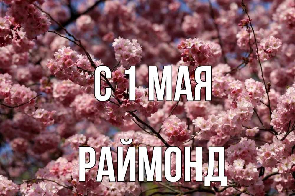 Открытка на каждый день с именем, Раймонд С 1 мая С 1 мая Прикольная открытка с пожеланием онлайн скачать бесплатно 