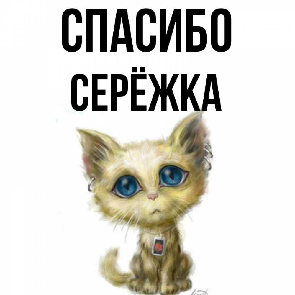 Картинка Спасибо, Серёжка