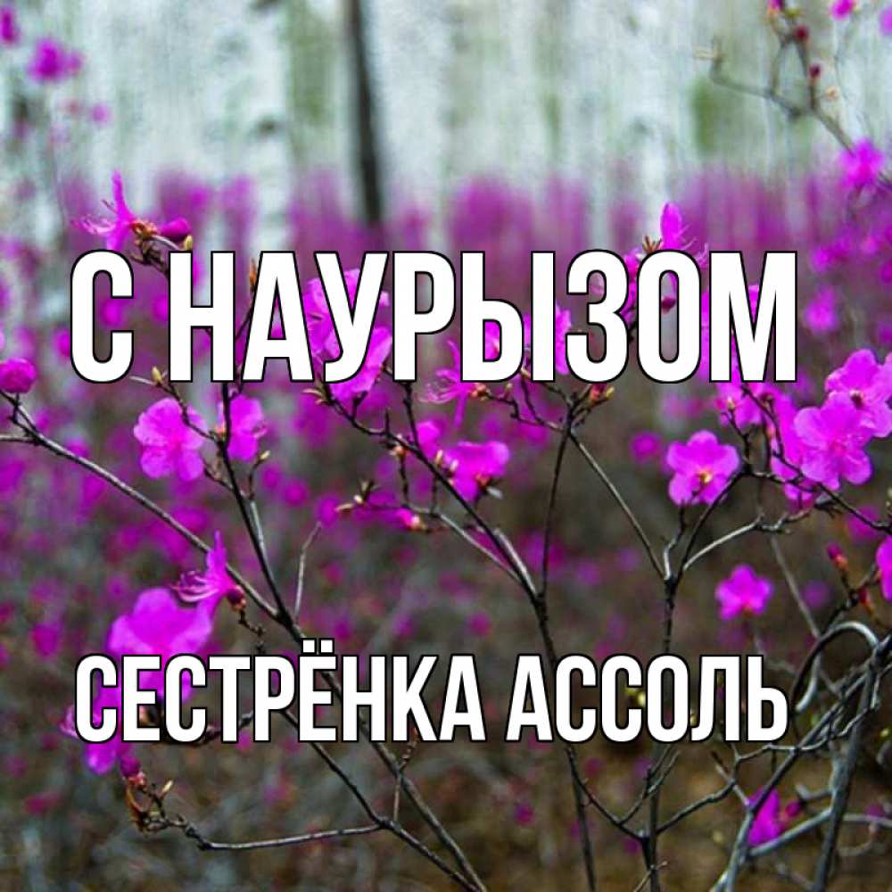 Открытка на каждый день с именем, Сестрёнка-Ассоль С наурызом дикие цветы Прикольная открытка с пожеланием онлайн скачать бесплатно 
