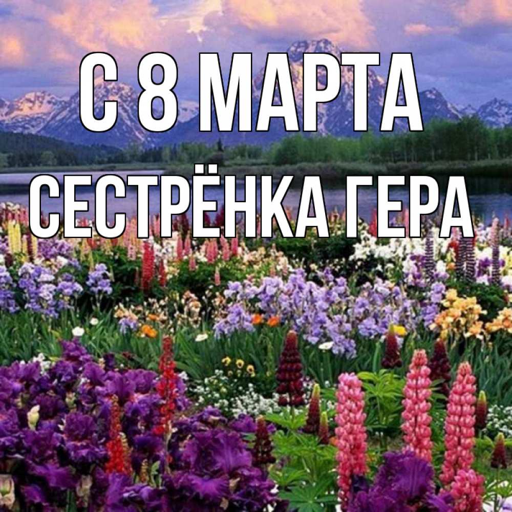 Открытка на каждый день с именем, Сестрёнка-Гера С 8 МАРТА международный женский день Прикольная открытка с пожеланием онлайн скачать бесплатно 