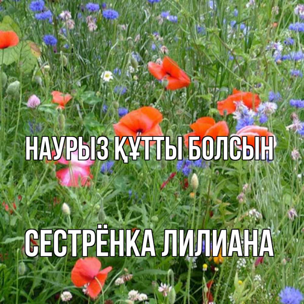 Открытка на каждый день с именем, Сестрёнка-Лилиана Наурыз құтты болсын наурыз  4 Прикольная открытка с пожеланием онлайн скачать бесплатно 