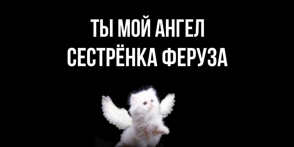 Открытка на каждый день с именем, Сестрёнка-Феруза Ты мой ангел Кот ангел Прикольная открытка с пожеланием онлайн скачать бесплатно 