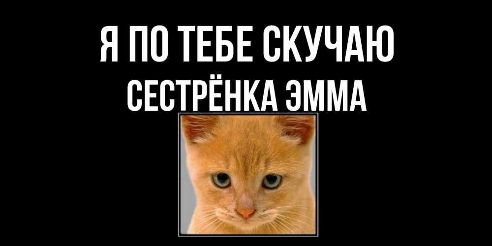 Открытка на каждый день с именем, Сестрёнка-Эмма Я по тебе скучаю открытки рыжий котенок скучает по тебе Прикольная открытка с пожеланием онлайн скачать бесплатно 