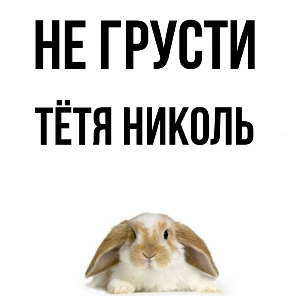 Открытка на каждый день с именем, Тётя-Николь Не грусти коричнево белый заяц с большими ушками Прикольная открытка с пожеланием онлайн скачать бесплатно 