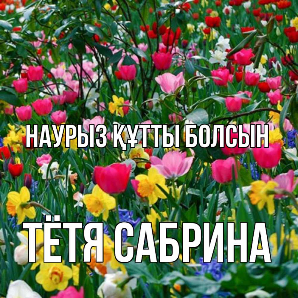 Открытка на каждый день с именем, Тётя-Сабрина Наурыз құтты болсын с наурызом поздравления для женщины Прикольная открытка с пожеланием онлайн скачать бесплатно 