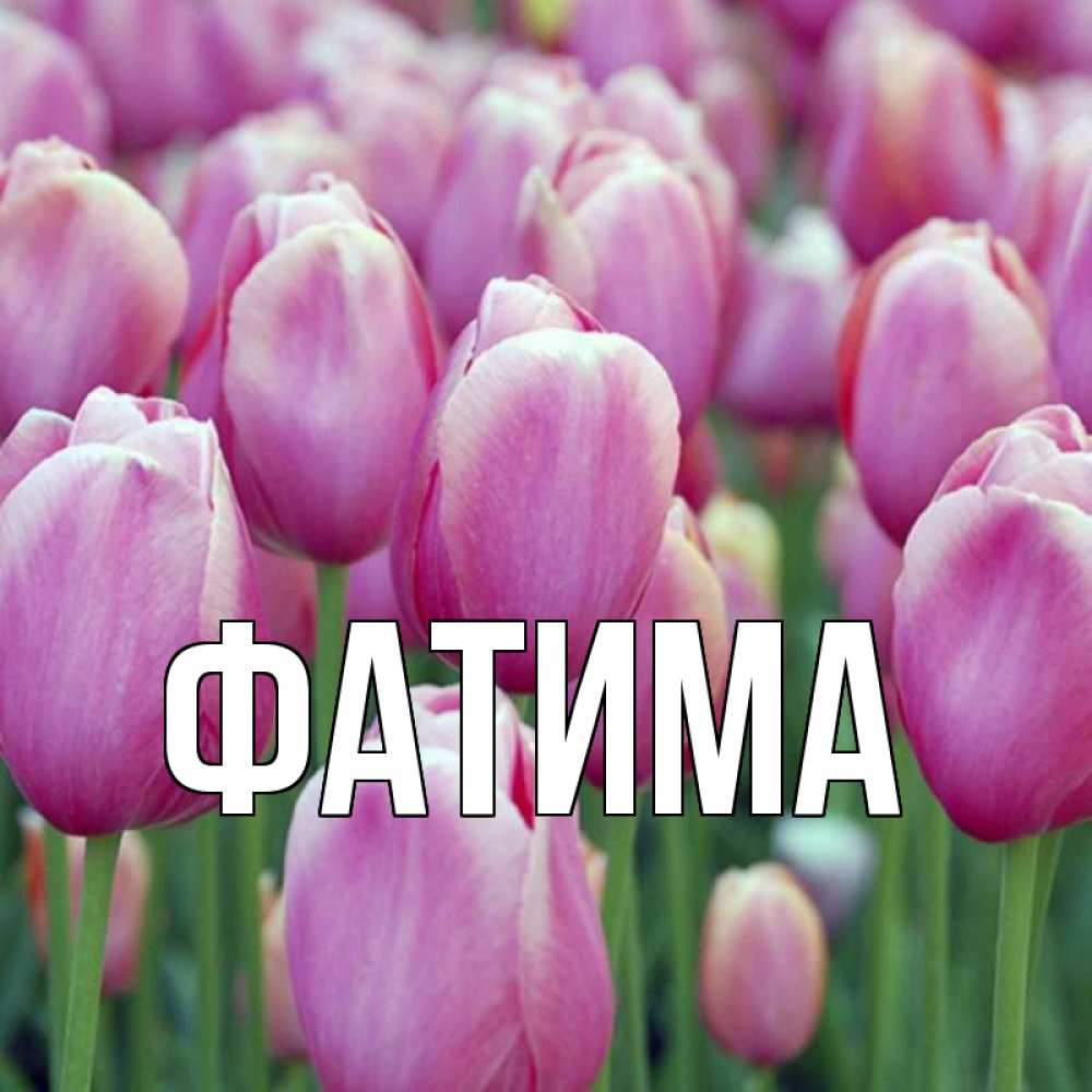 Открытка на каждый день с именем, Фатима Главная праздник весны наурыз 69 Прикольная открытка с пожеланием онлайн скачать бесплатно 