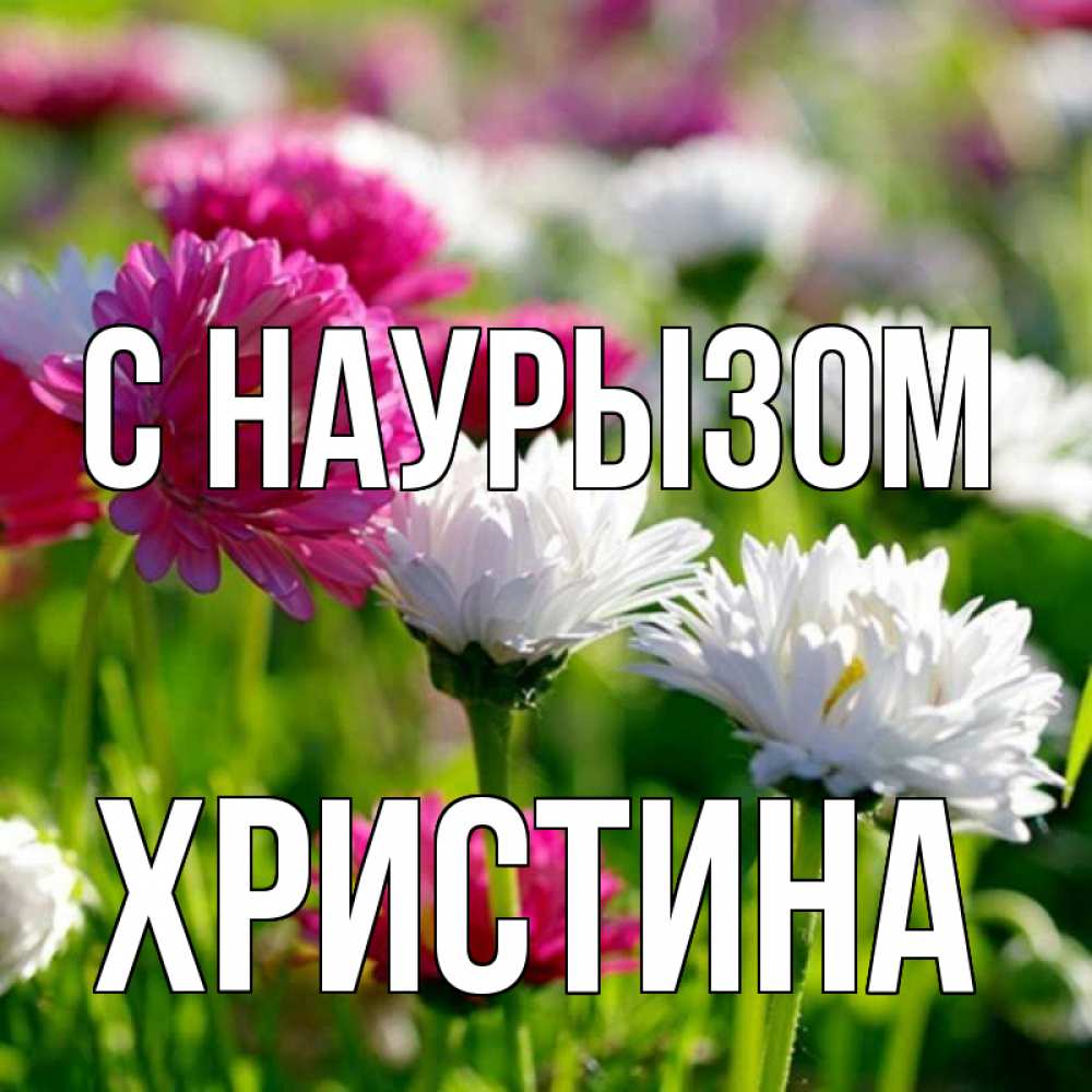 Открытка на каждый день с именем, Христина С наурызом праздник весны наурыз красота Прикольная открытка с пожеланием онлайн скачать бесплатно 