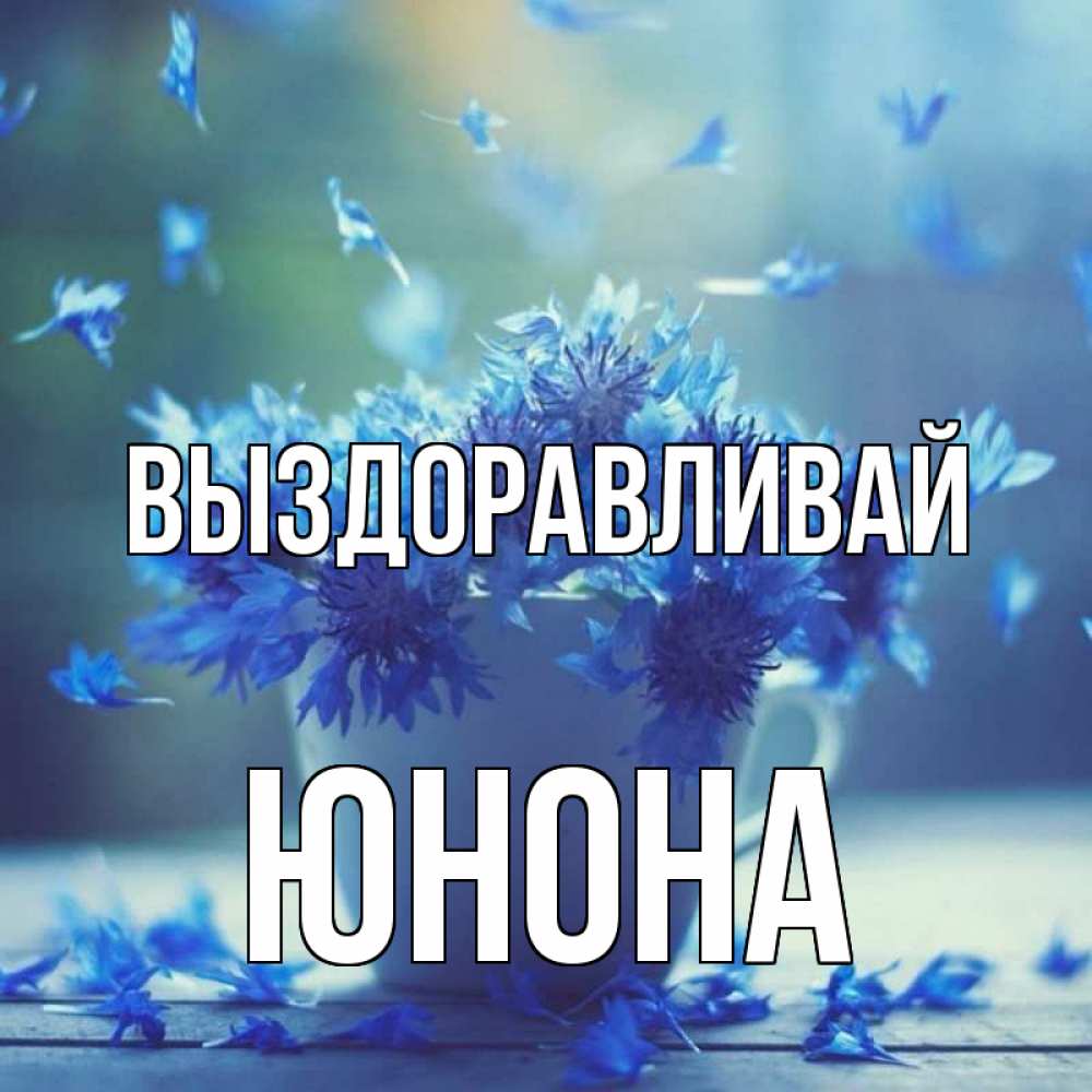 Открытка на каждый день с именем, Юнона Выздоравливай кружка с зельем и цветами Прикольная открытка с пожеланием онлайн скачать бесплатно 