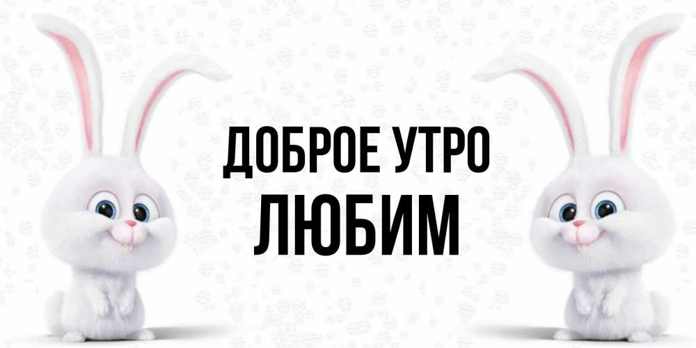 Открытка на каждый день с именем, Любим Доброе утро кролики с длинными ушками Прикольная открытка с пожеланием онлайн скачать бесплатно 