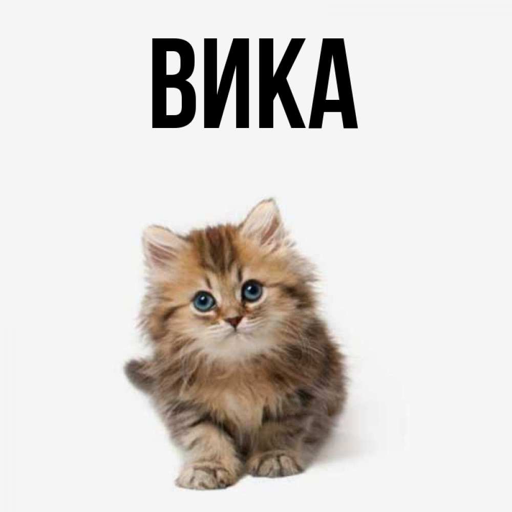 Вика картинки с именем вика