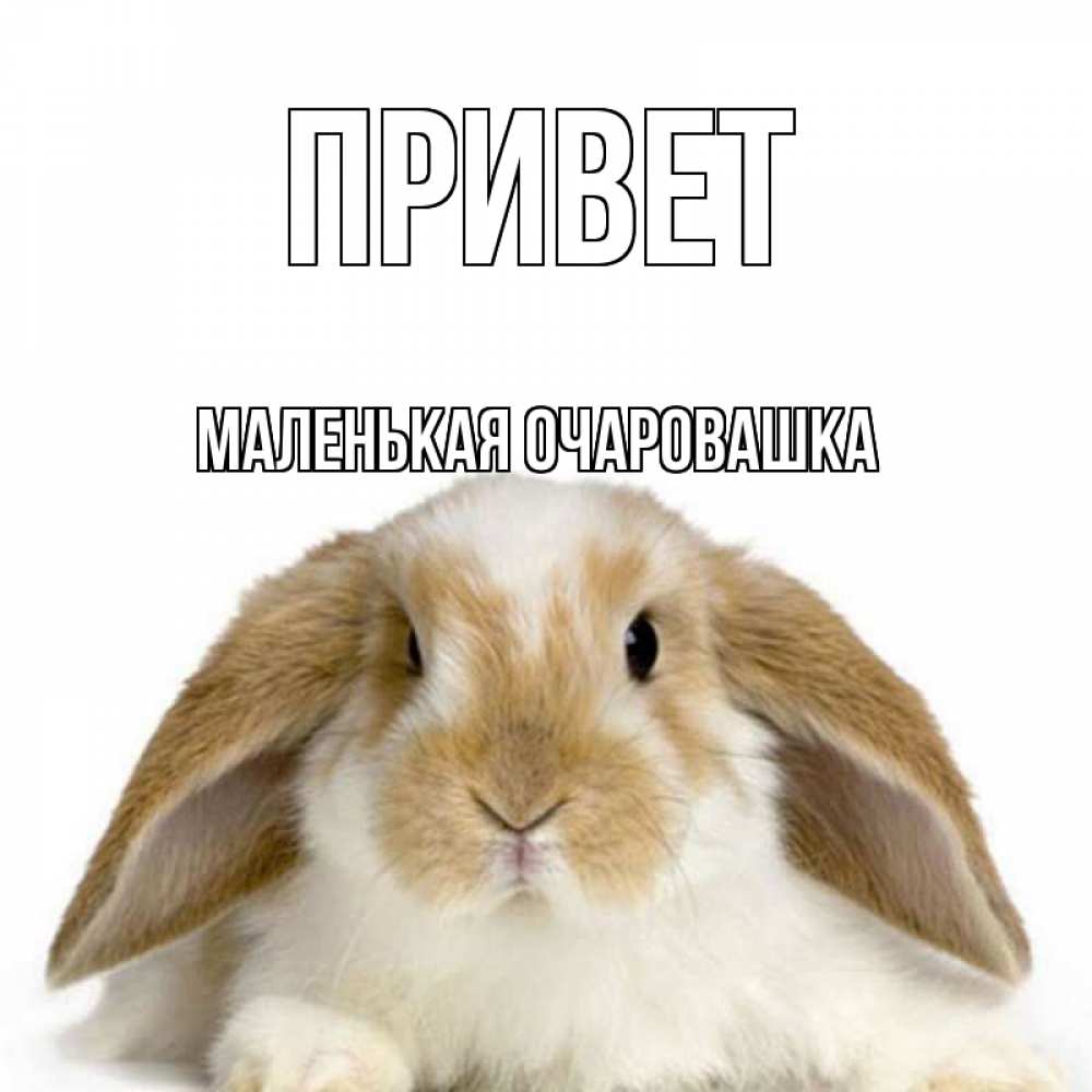 Привет маленькая