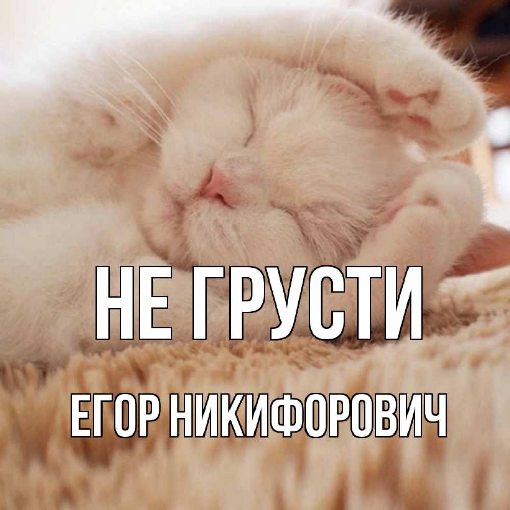 Котик не грусти картинки