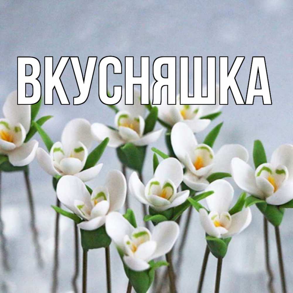 Открытка на каждый день с именем, Вкусняшка Главная весенние цветы Прикольная открытка с пожеланием онлайн скачать бесплатно 