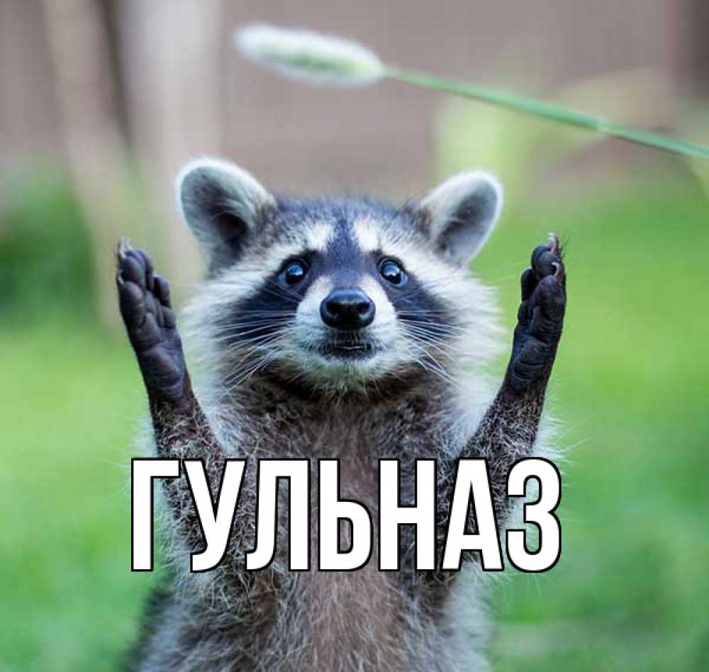 Картинка  с именем , Гульназ